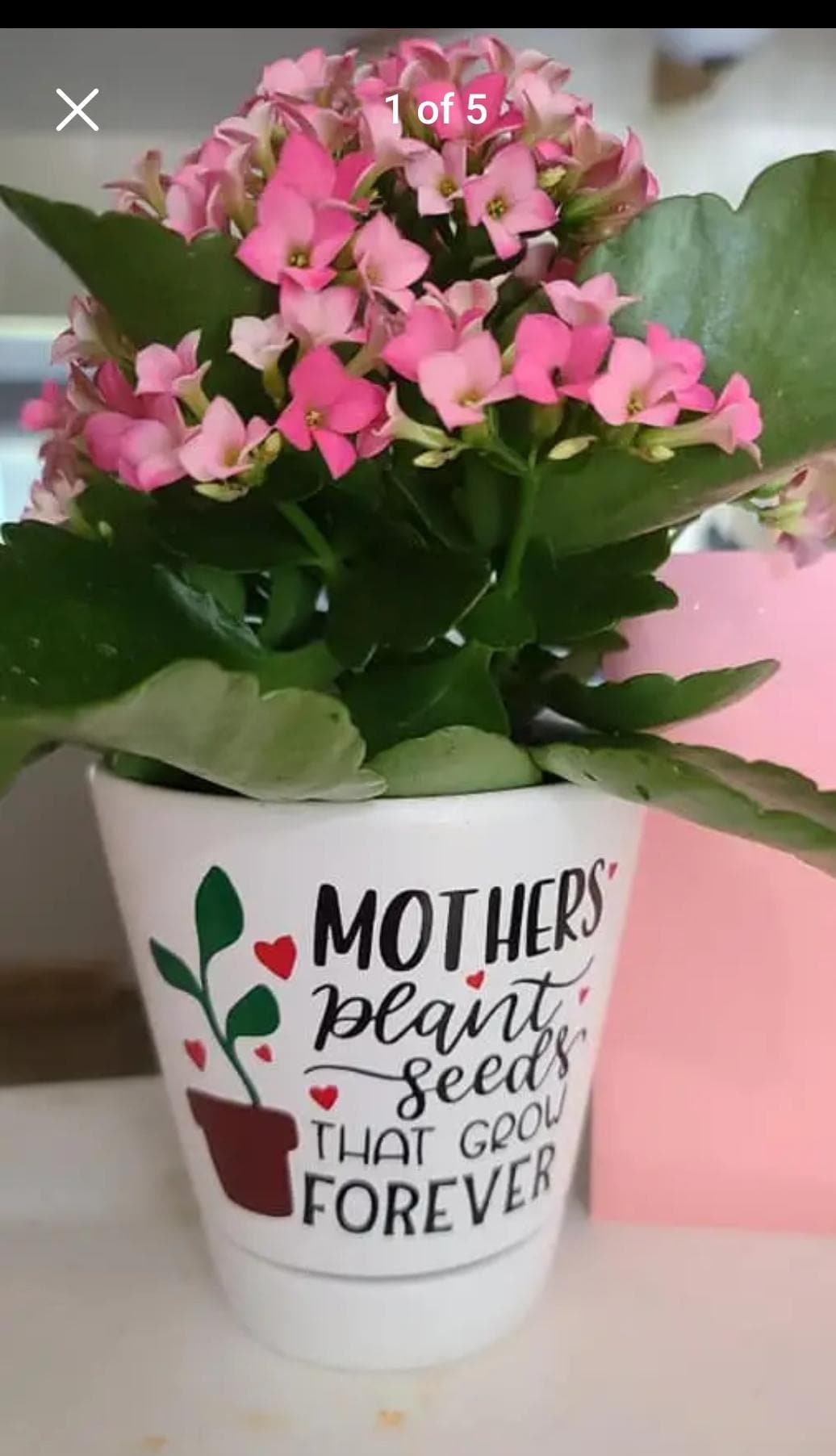 Personalized Ceramic Planter, Teacher Appreciation Gift, Plant Seeds Forever