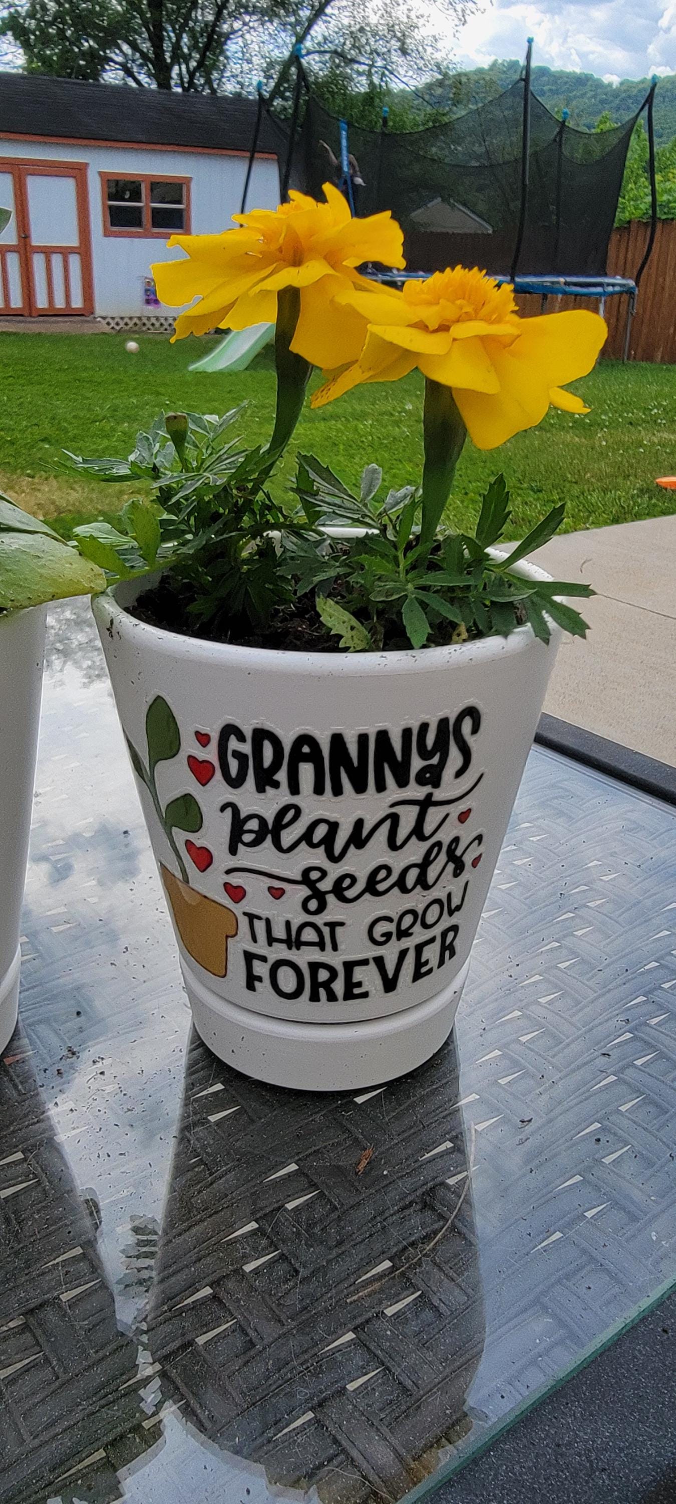 Personalized Ceramic Planter, Teacher Appreciation Gift, Plant Seeds Forever
