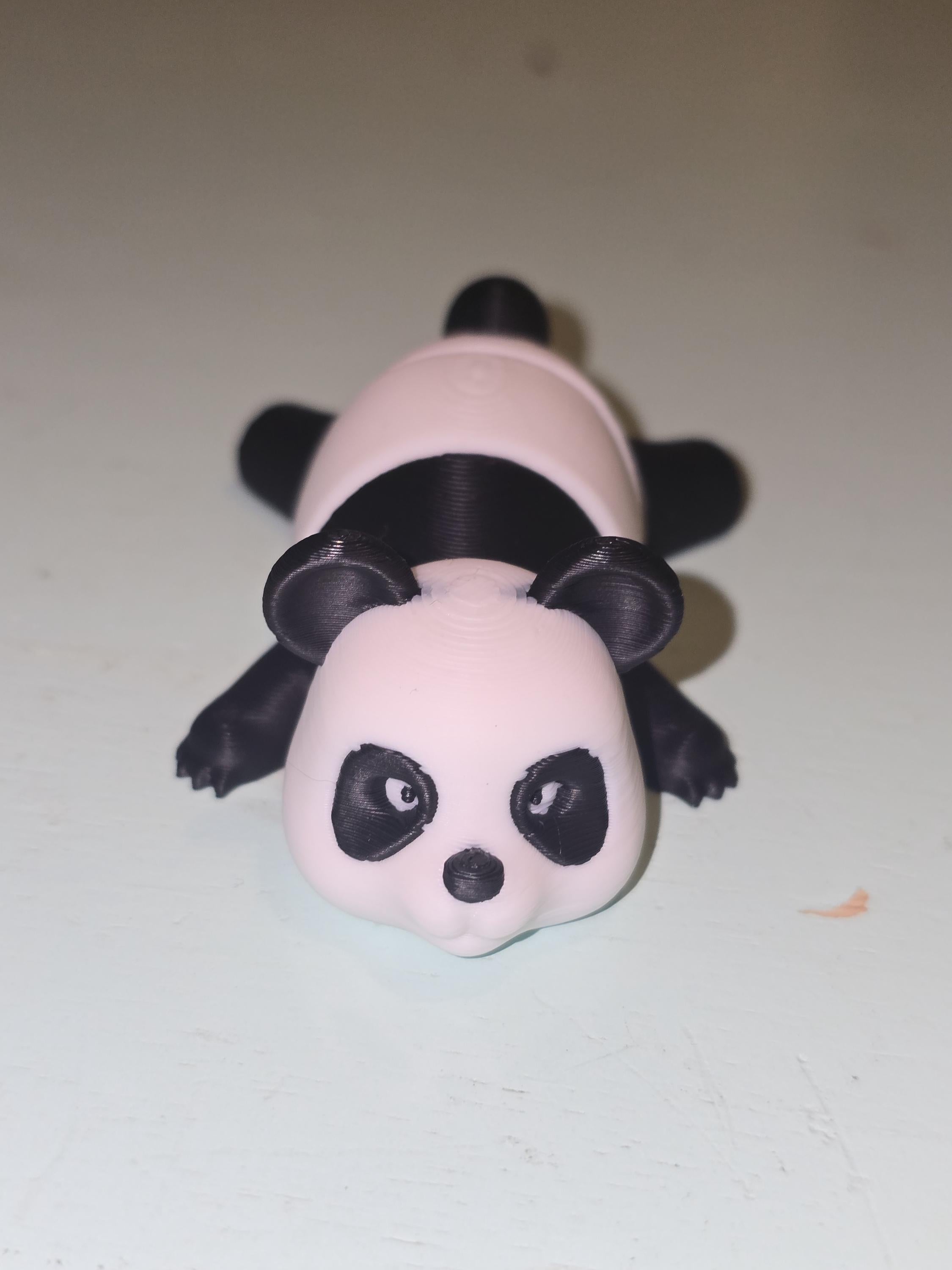Choose Your Own Detailed Pocket Pet! | 3D Printed Fidget Animals