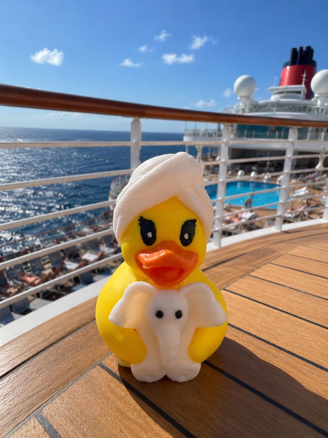 3D Printed - Spa Duck, Cruising Duck
