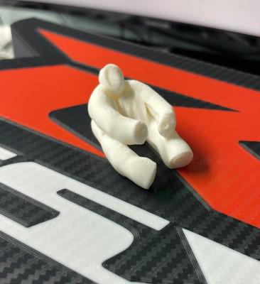 Towel Animals | Hide on Cruise | Collectible Souvenir Figures - 3D Printed