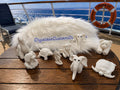 Towel Animals | Hide on Cruise | Collectible Souvenir Figures - 3D Printed