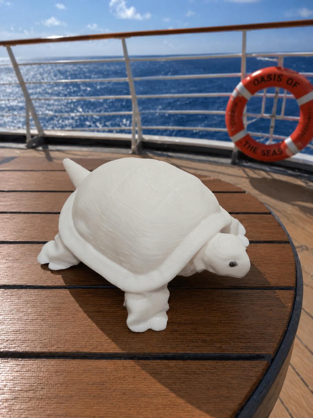 Towel Animals | Hide on Cruise | Collectible Souvenir Figures - 3D Printed