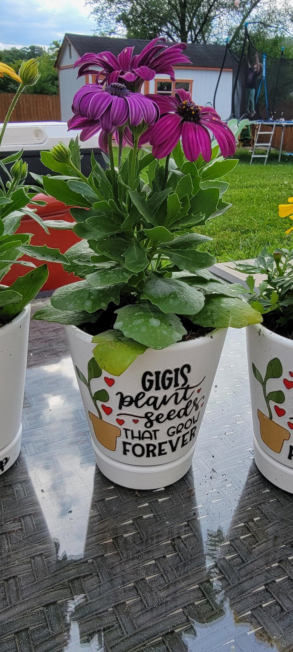 Personalized Ceramic Planter, Teacher Appreciation Gift, Plant Seeds Forever