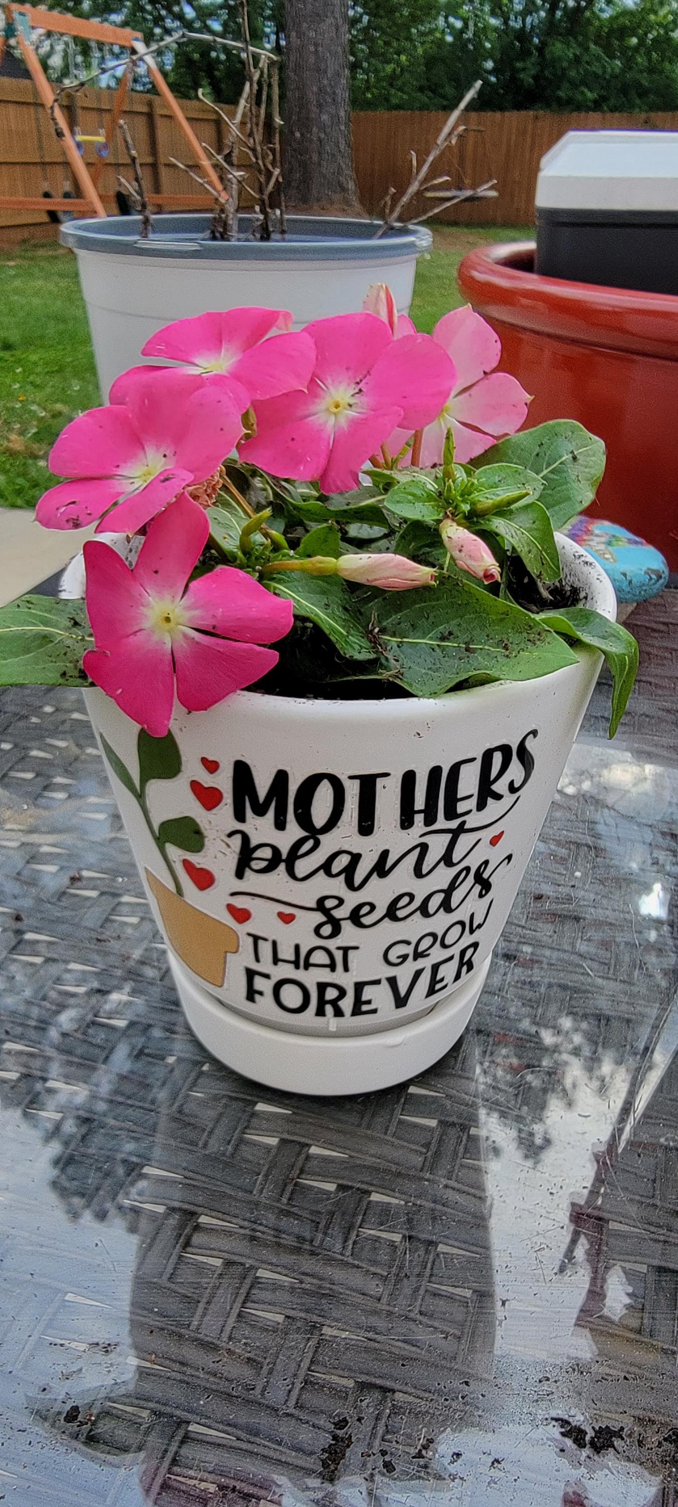Personalized Ceramic Planter, Teacher Appreciation Gift, Plant Seeds Forever